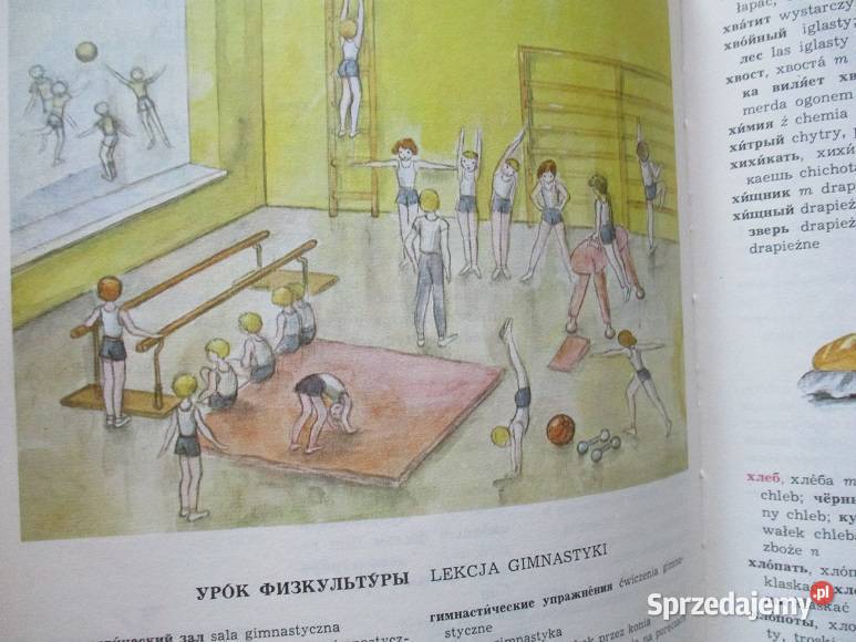 Ilustrowany słownik dzieci ros polski pol ros Łódź
