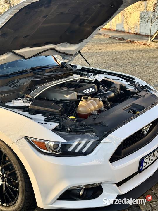 FORD MUSTANG GT 50 stan idealny Tarnowskie Góry