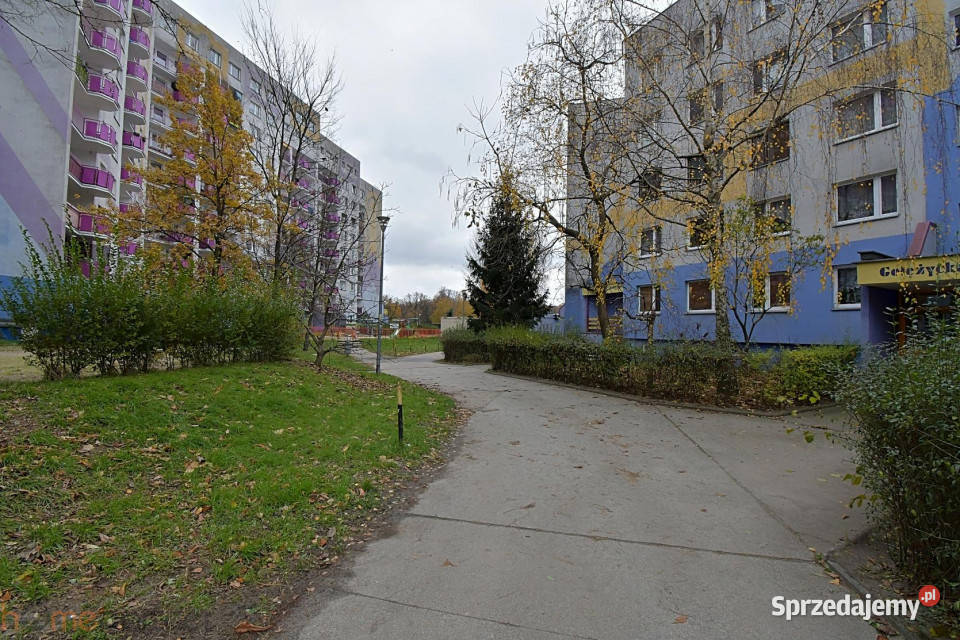 Mieszkanie 49m2 2 pokoje Wrocław Gołężycka