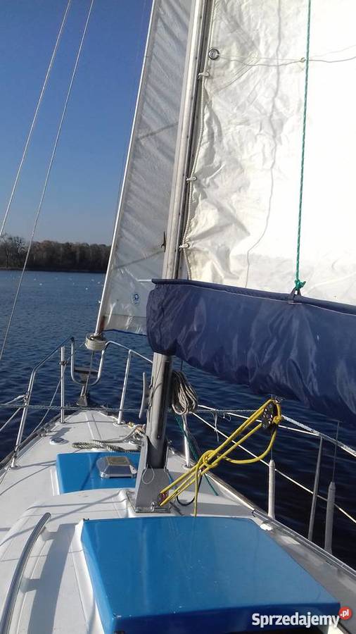 jacht żaglowy kabinowy kupić