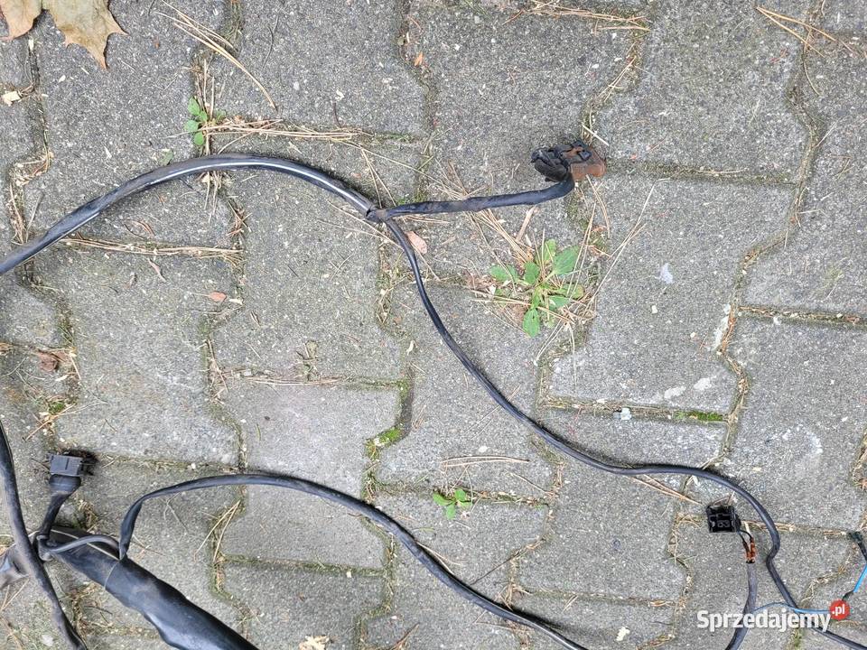 komputer wiązka c20xe motronic 28 calibra vectra śląskie Jastrzębie-Zdrój