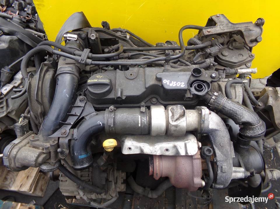 FORD TRANSIT CONNECT 16 TDCI 16r 116 silnik T1GA Silniki kompletne Suków