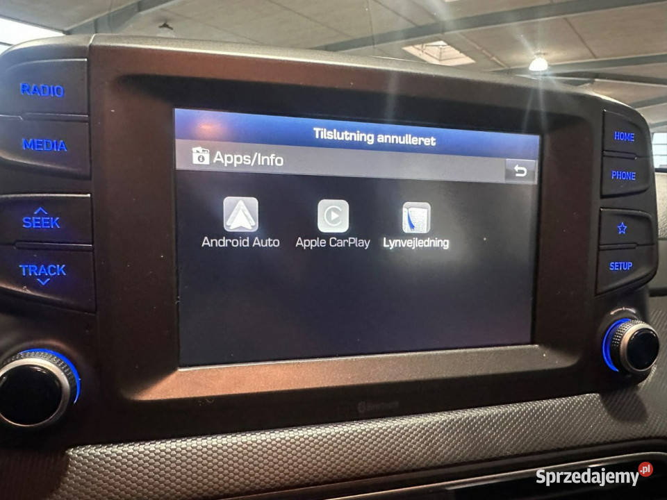 Hyundai Kona I 20172023 Kona wielkopolskie