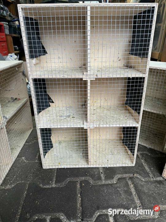 Budki lęgowe i transportówki Budki lęgowe i karniki wielkopolskie Pawłowice sprzedam