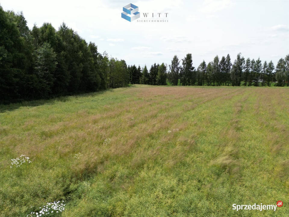Grunt sprzedam 1337m2 Franciszkowo sprzedam