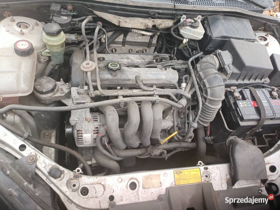 Ford Focus sprzedam Czerwionka-Leszczyny sprzedam