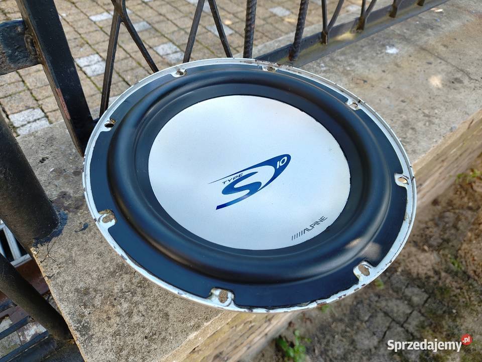 Głośnik bassowy basowy niskotonowy 10 25 250mm 250 mm Niegowonice