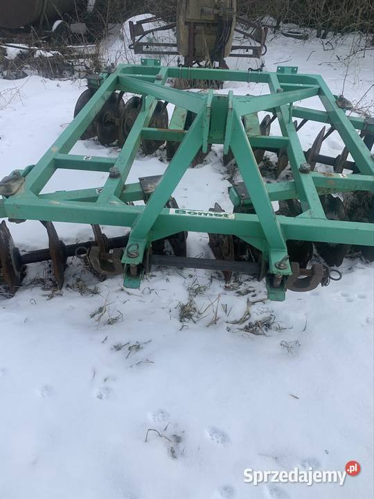 Talerzówka nieuszkodzony Bruszewo