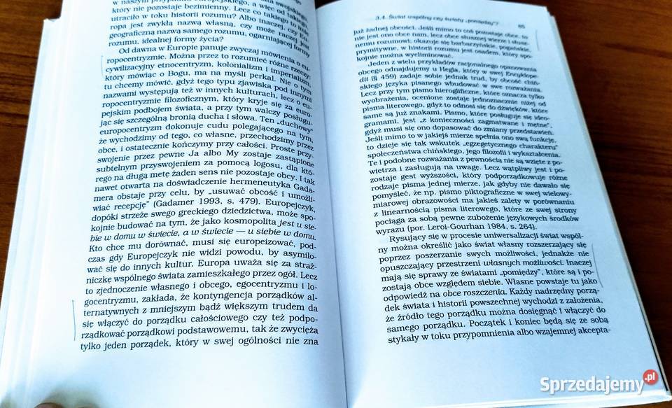 Topografia obcego studia z fenomenologii obcego