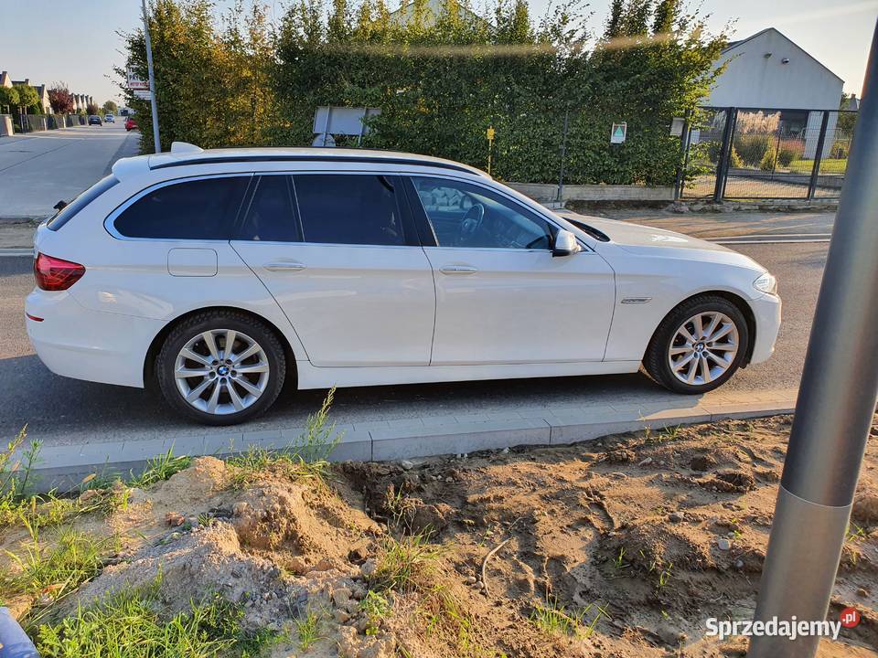 BMW 5 520d 190 Super stan polski salon kupiony w polskim salonie Konin