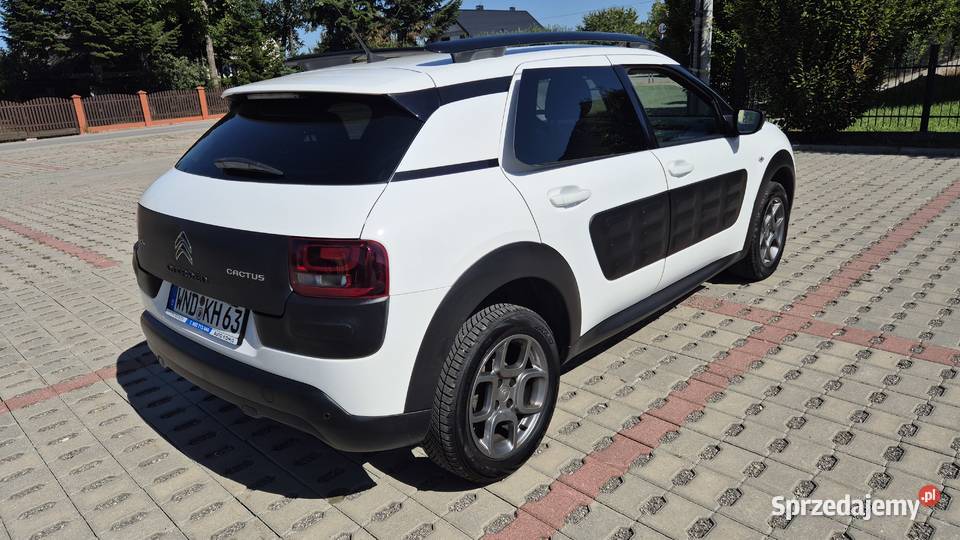 C4 CACTUS 12 82 OPŁATACH BEZWYPADKOWY Motoryzacja Rzeszów