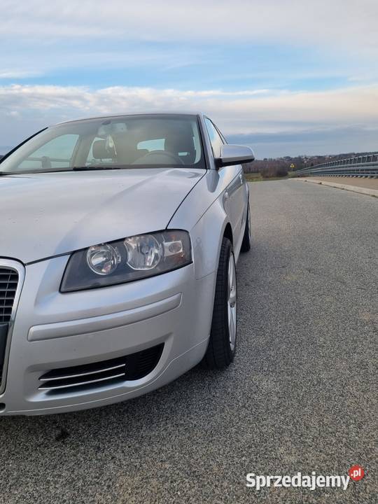 Audi A3 8P 19 TDI A3 A3 Tarnów