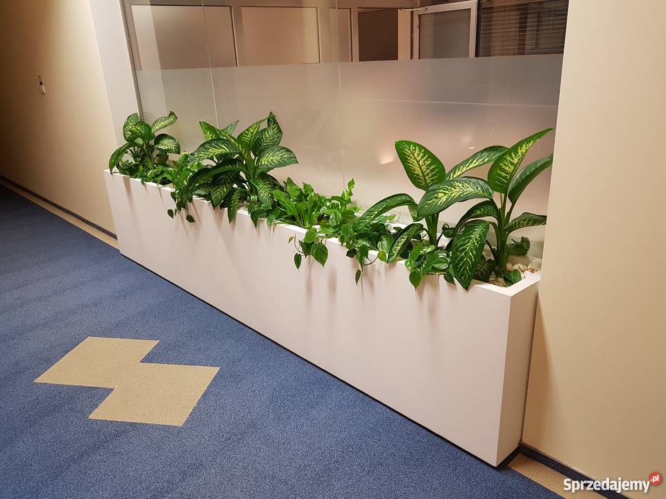 Donica na taras Pozostałe Wrocław sprzedam