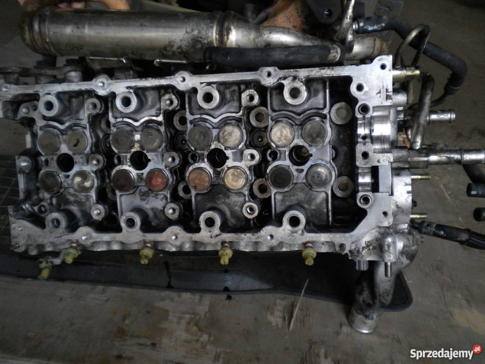 GŁOWICA TOYOTA AVENSIS D4D 02 116 20d osobowe podlaskie Białystok
