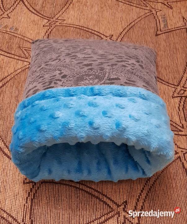 Norka gryzoni świnki morskiej 2538 Koło