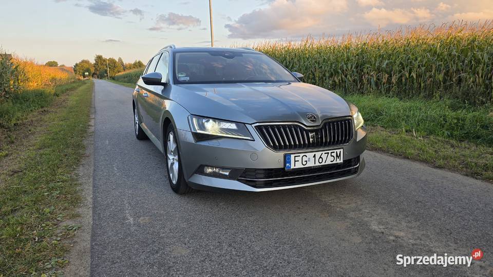 Skoda Superb 20 TDI DSG LaurinKlememt Gorzów Wielkopolski
