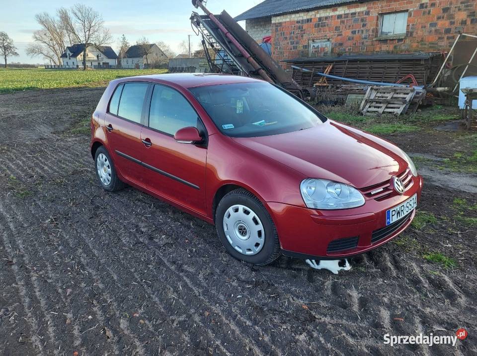 Volkswagen Golf V 19 tdi 4/5 wielkopolskie Bieganowo