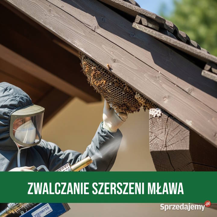 Zwalczanie Szerszeni Mława Usuwanie Gniazd