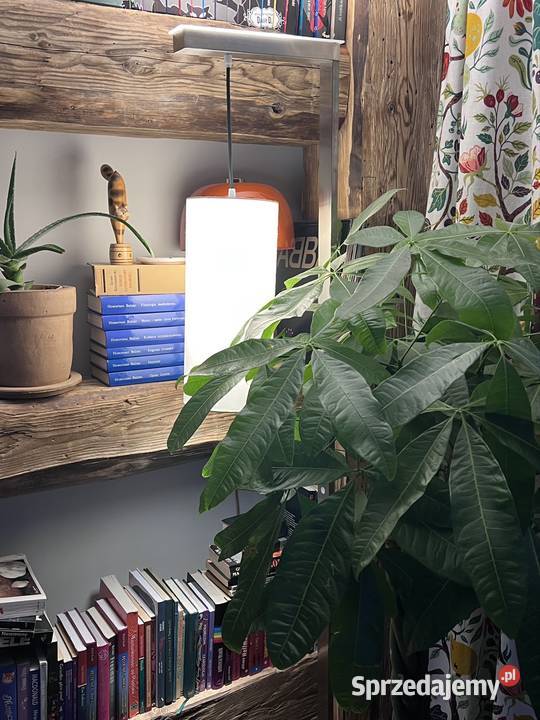 Lampa podłogowa LED Piwniczna-Zdrój