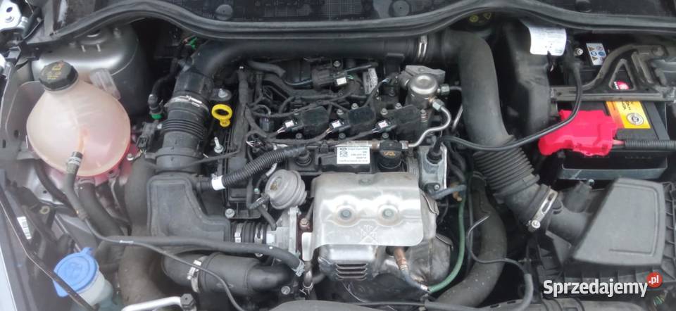 Ford Fiesta Mk8 10 2018r 101 LED Tempomat czujnik parkowania Zbąszyń