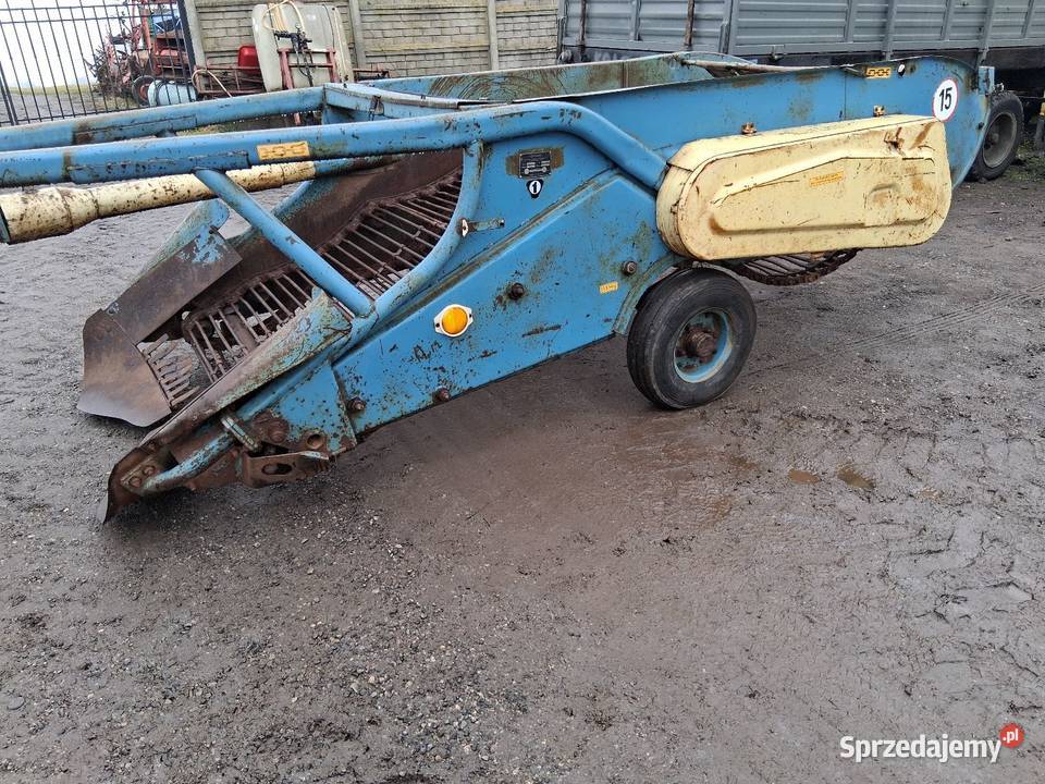 Kopaczka do ziemniaków elewatorowa Kwaśniów Górny sprzedam