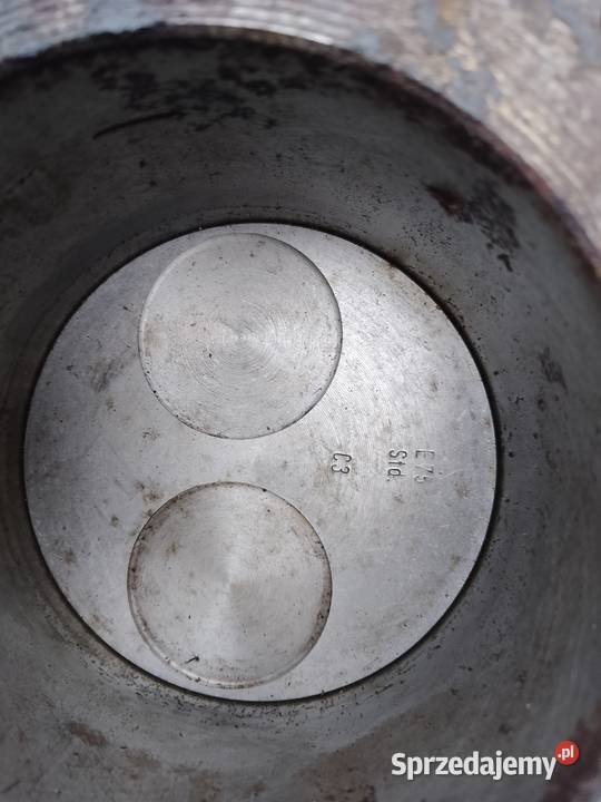 Cylinder hatz świętokrzyskie