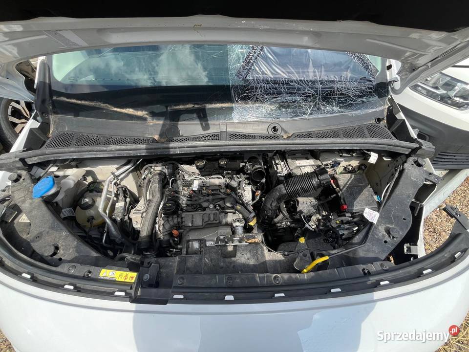 TOYOTA Proace III City 15 D4D 100 GX793 podkarpackie Rzeszów