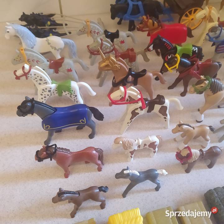 Figurki do zabawy Playmobil Playmobil pomorskie Gdańsk