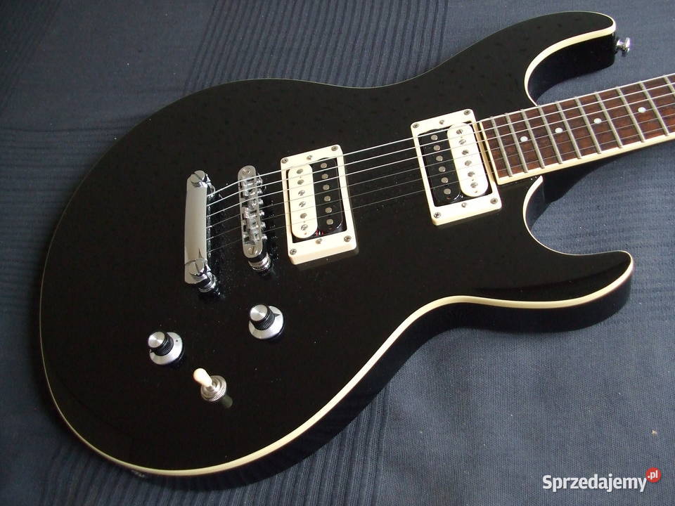 humbuckery Zebra Alnico 5 przetworniki pickupy elektryczna Warszawa