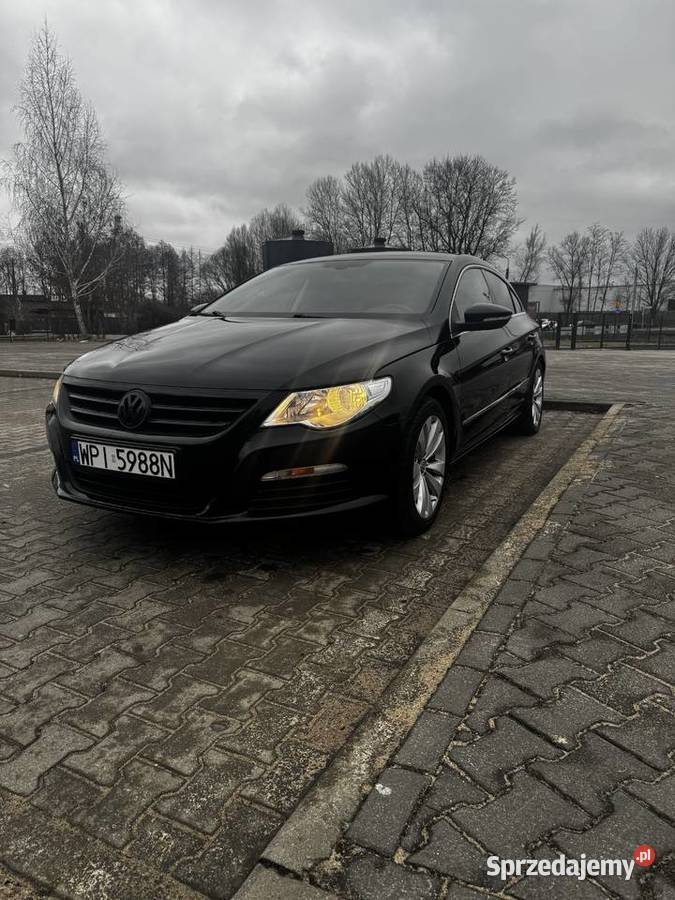 Czarny tygrys na sprzedaż CC