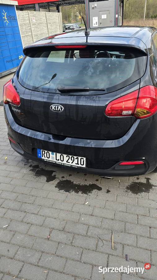 1 własciel serwis do konca 2015 Wałbrzych