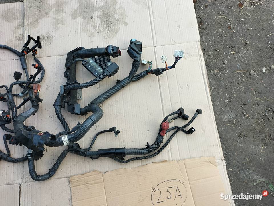 XTRAIL Qashqai 20DCi 24270JG71A WIĄZKA terenowe Kamień-Kolonia