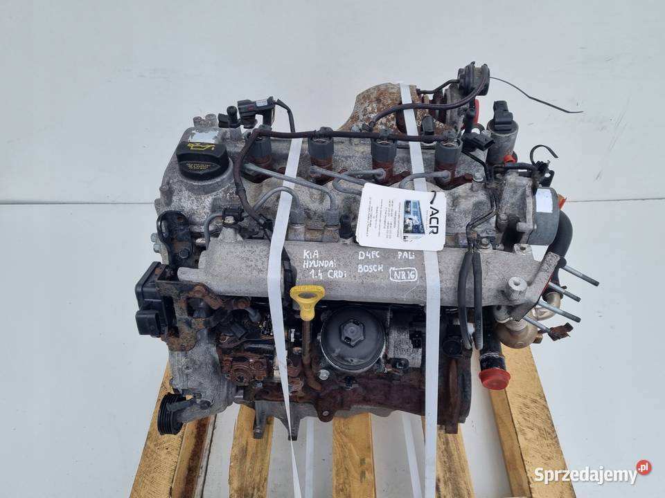 SILNIK KOMPLET Kia Rio III 14 CRDI 131 D4FC
