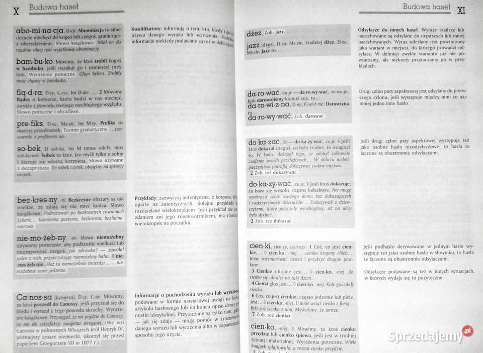 Słownik języka polskiego AGar Tom 1 twarda lubelskie