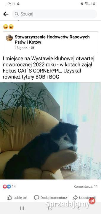 Reproduktor PERS Zamość