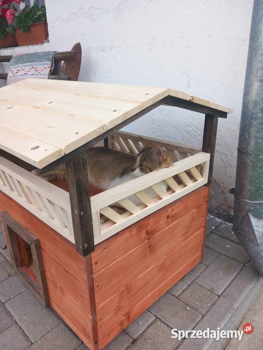 fajn y kojec kota małego pieska sprzedam