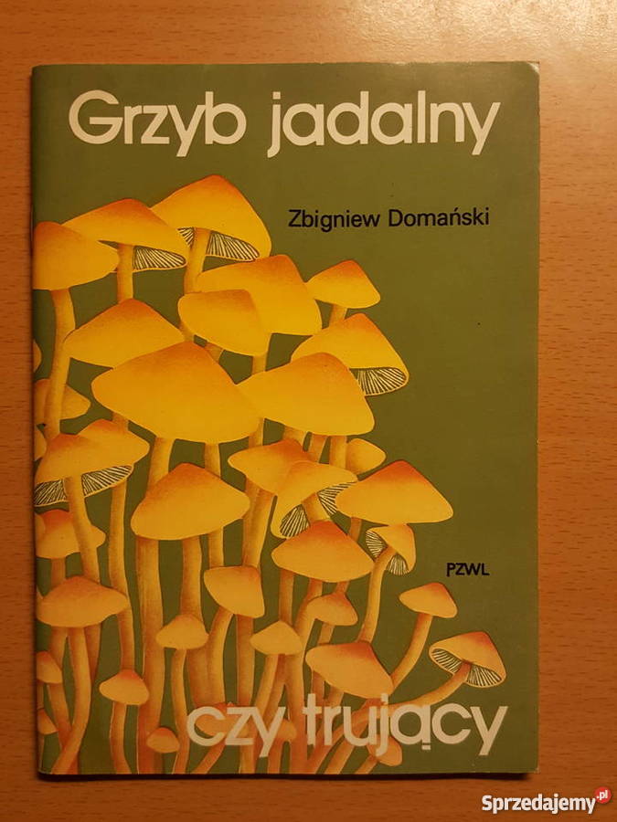 PORADNIK Grzyb jadalny Zbigniew Domański wielkopolskie