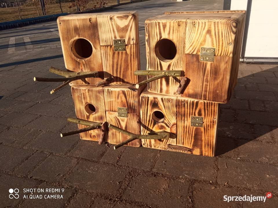 Budki lęgowe drewniane budka lęgowa papug Helenów sprzedam