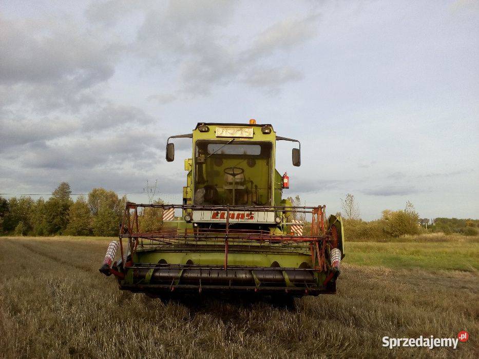 Kombajn zbożowy Claas Mercator 50 Orzelec Duży