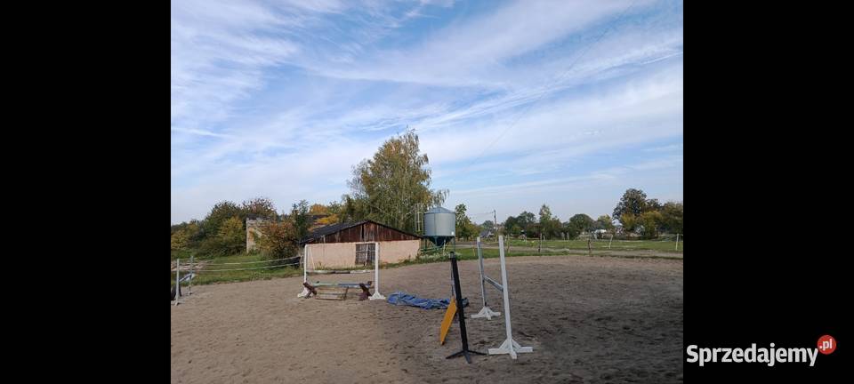 Stajnia mieszkanie gospodarstwo rolne 2ha woj Prudnik