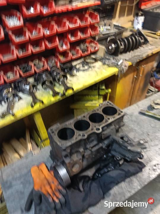 Części 19 tdi Raniżów