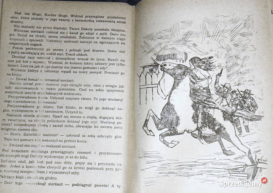 Odwaga N Szepańska Pozostałe