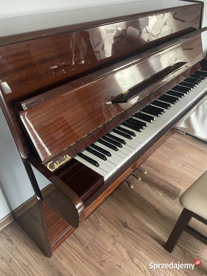 Pianino Calisia Zduńska Wola sprzedam