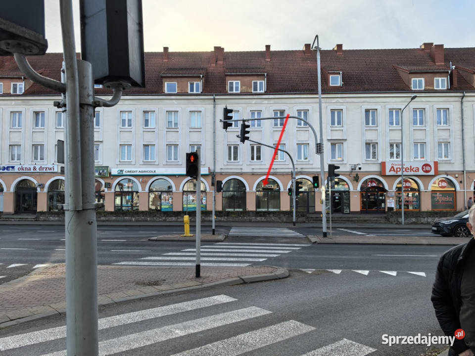 Sprzedam wynajmę Ciechanów