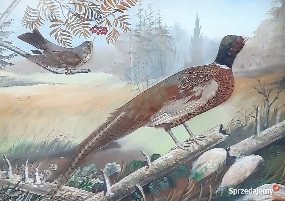 Duży Stary Obraz Diorama Sygnowany Malarstwo Gliwice