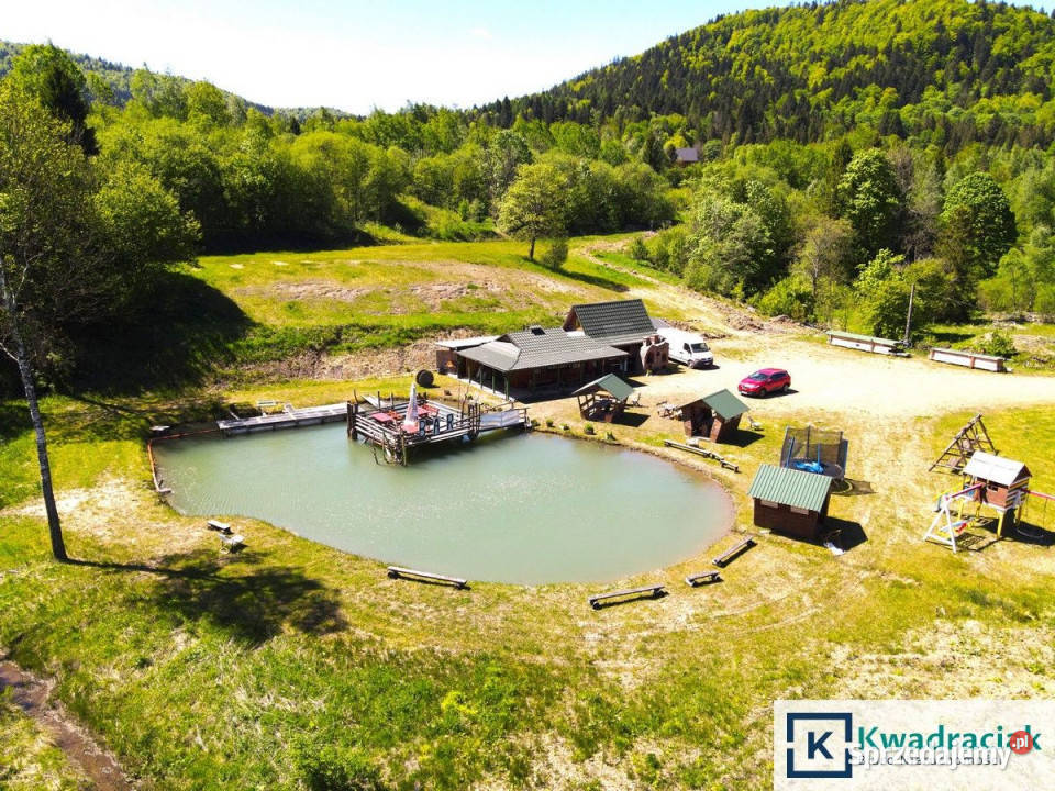 Działka 11659m2 Krzywe