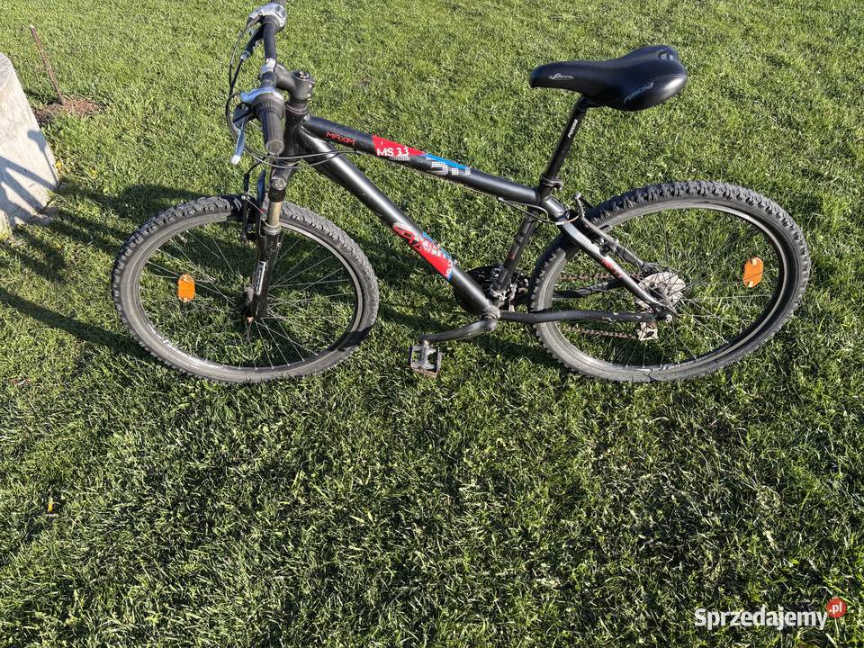 Rower maxim Widełka