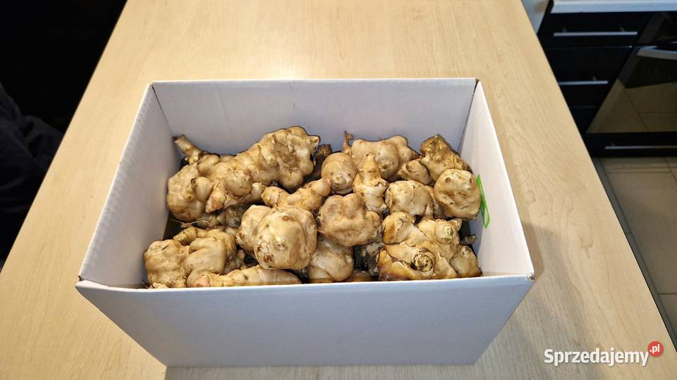 Topinambur Karczoch jerozolimski Słonecznik Bochnia sprzedam