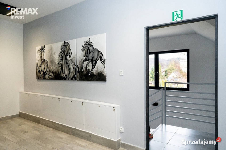 Słoneczna kawalerka studio Wynajem