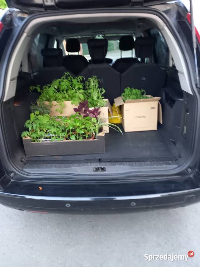 Citroen C4 Grand Picasso 2007 r 7 osobowy Lublin